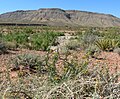 Calico Basin, NV