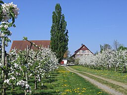 Haldenberg in Friedrichshafen