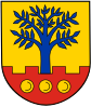Wappen von Ascheberg