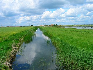 <span class="mw-page-title-main">Denge Marsh</span>