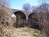 Заброшенный железнодорожный мост через реку Огден - geograph.org.uk - 707049.jpg