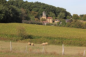 Habiter à Diusse