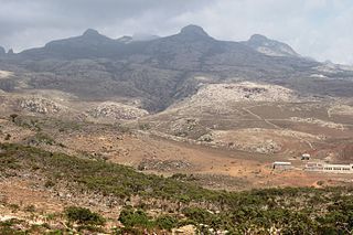 <span class="mw-page-title-main">Diksam Plateau</span> Plateau in Socotra, Yemen