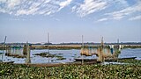 Fishing nets and boats on the Dora Beel in Kamrup district