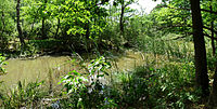 Čeština: Pohled přes vodní příkop na tvrziště Doubíčko u Branišova, okres České Budějovice. English: Water moat of a former fortress Doubíčko near the village of Branišov, České Budějovice District, South Bohemia, Czech Republic.