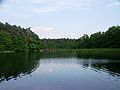 Drawienski Park Narodowy - jezioro Ostrowieckie 3.jpg