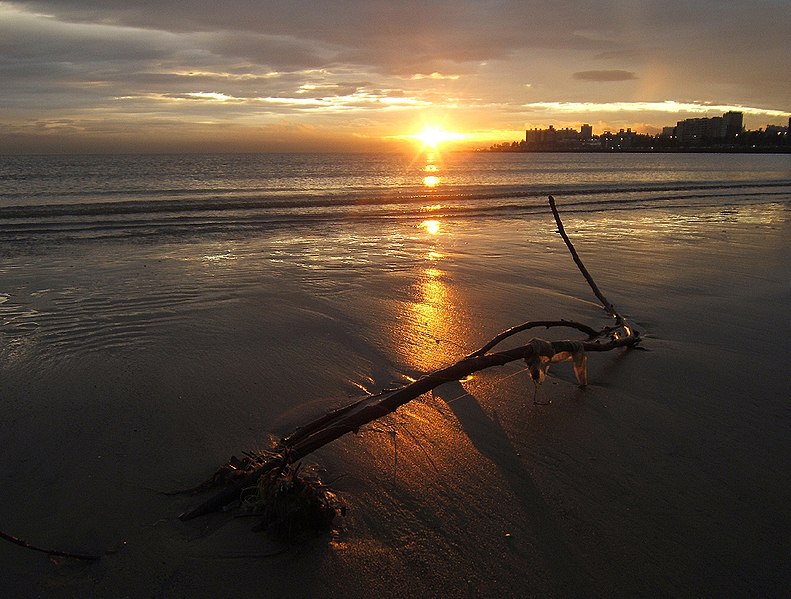 File:Driftwood (439247771).jpg