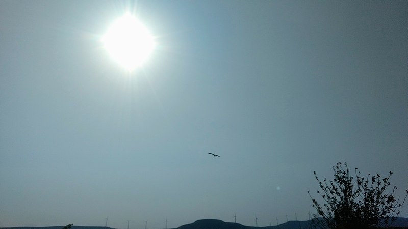 File:Eagle in sky with sun.jpg