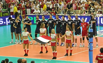 Équipe d'Égypte de volley-ball, Poznań 2008.