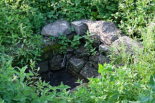 <span class="mw-page-title-main">Elder Well</span>