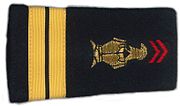 Rank insignia of a lieutenant of the Paris Fire Brigade FOURREAU BSPP.jpg