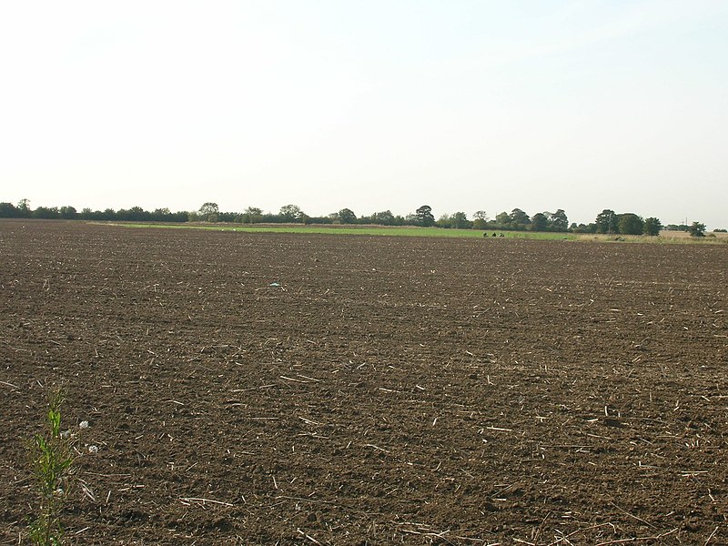 File:Farmland off Straight Lane - geograph.org.uk - 2603062.jpg