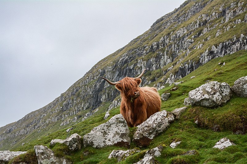 File:Faroe Islands (Unsplash XucH5JNRFig).jpg