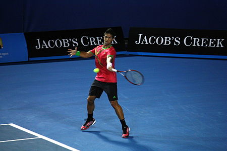 Tập_tin:Fernando_Verdasco_at_the_2011_Australian_Open1.jpg