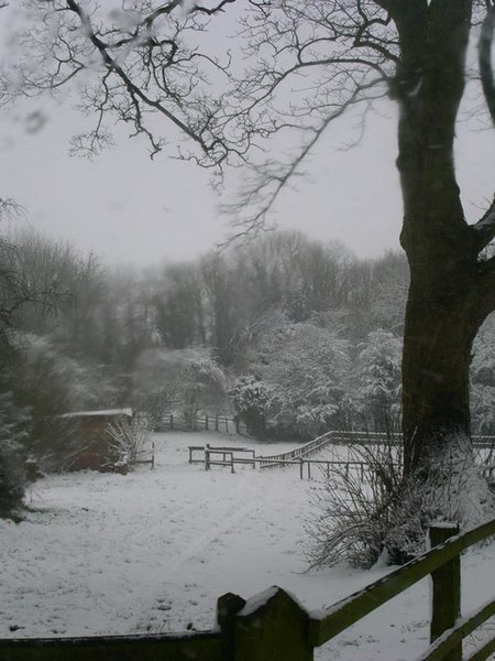 File:Field Just Outside Holwell. Near Melton Mowbray, Leicestershire. - geograph.org.uk - 462206.jpg