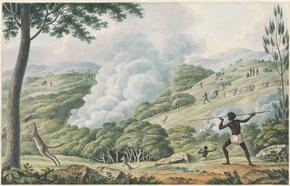 The Aboriginal Australian practice of fire-stick farming (above depicts a kangaroo hunt) may be implicated in megafaunal extinction. Fire-stick- Lycett.webp