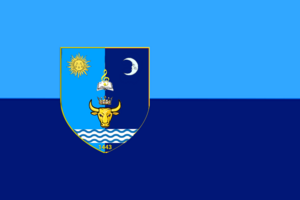 Прапор села Думени
