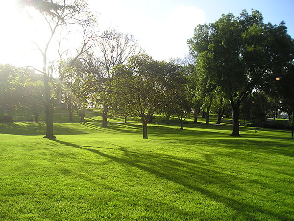 Facing north east in the Flagstaff Gardens