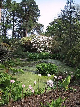 Gardens of Brodick Castle - geograph.org.uk - 971764