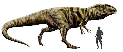 Giganotosaurus carolinii by durbed.jpg