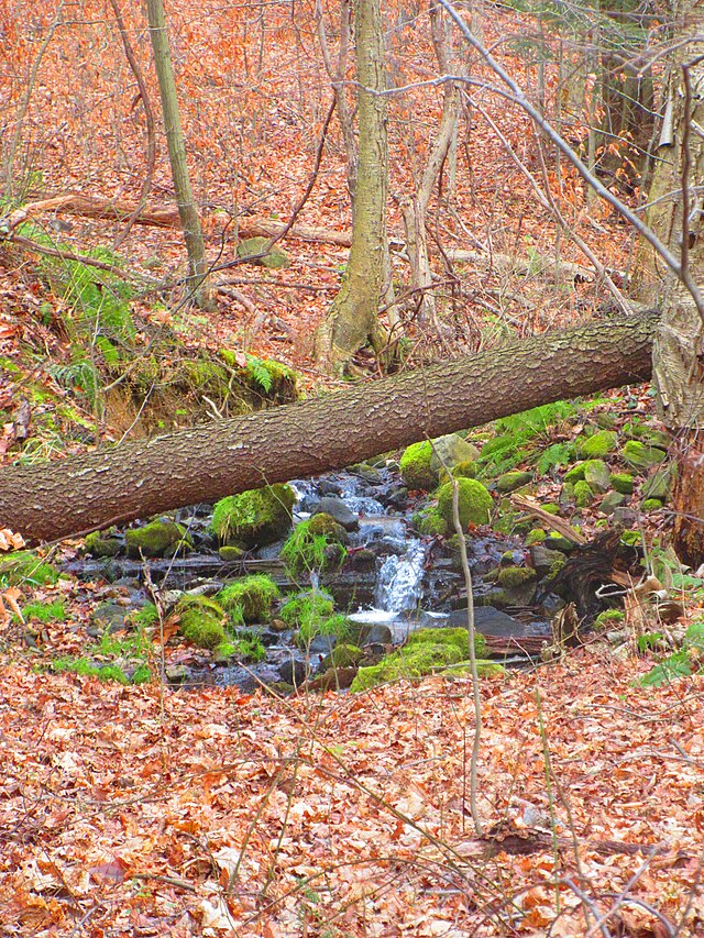 Maurice K Goddard State Park - Wikipedia