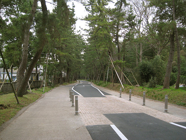 Goyu Pine Tree Avenue with sidewalk.(w:ja:御油の松並木)