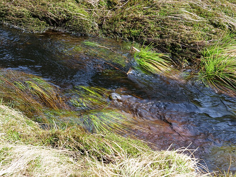 File:Große Bode near Rotes Bruch 07.jpg