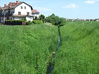 2,0 km: Gumieniec przy ul. Zachodniej