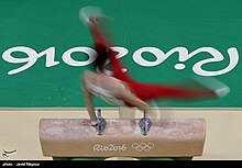 Gymnastics at the 2016 Summer Olympics - 11 August -15.jpg