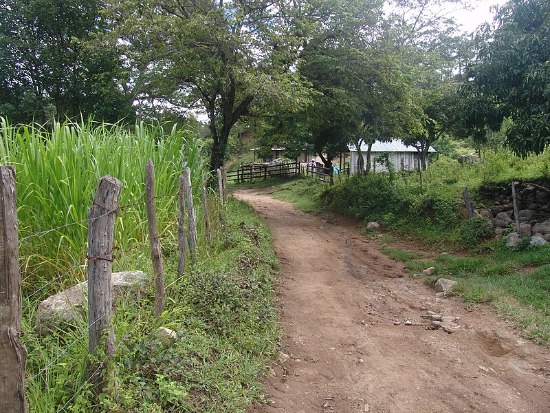 File:HN078sMarcs~Finca+Lane.jpg