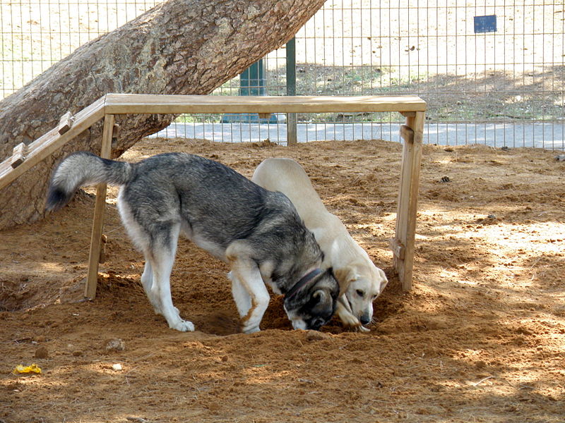 File:Ha'Yarkon Park (3083675895).jpg