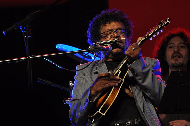 File:Harrison Kennedy and Folk's Wagon @ Piacenza Blues Festival day 2 04.jpg