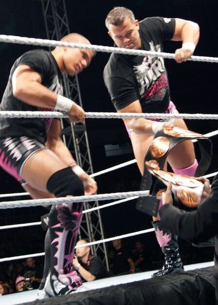 The Hart Dynasty as WWE Tag Team Champions in 2010
