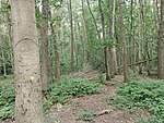 Hartshill Hayes Country Park