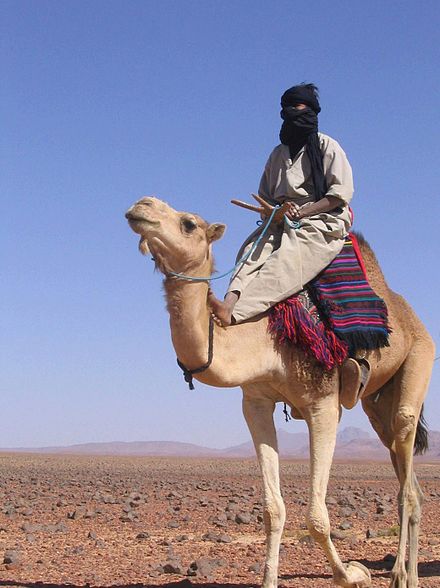 A Tuareg man, whose ancestors roamed the Sahara for millennia