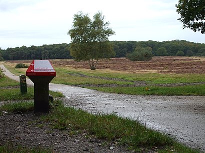 Hoe gaan naar Hoorneboeg met het openbaar vervoer - Over de plek