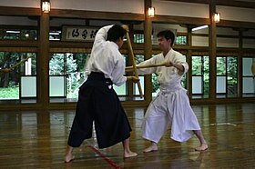 Kuvaava artikkeli Kashima Shinden Jikishinkage-ryū