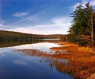 Shrewsbury Township, Sullivan County, Pennsylvania Township in Pennsylvania, United States