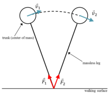 Center of mass on a massless leg travelling along the trunk trajectory path in inverted pendulum theory. Velocity vectors are shown perpendicular to the ground reaction force at time 1 and time 2. Inverted Pendulum.png