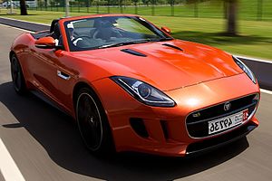 Jaguar Experience - Yas Marina - April 2014 (14068962231) (cropped).jpg