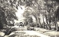 KITLV - 78299 - Kleingrothe, C.J. - Medan - Road on a tobacco plantation of the Amsterdam Deli Company at Padang Bulan in Medan, Sumatra - circa 1900.tif