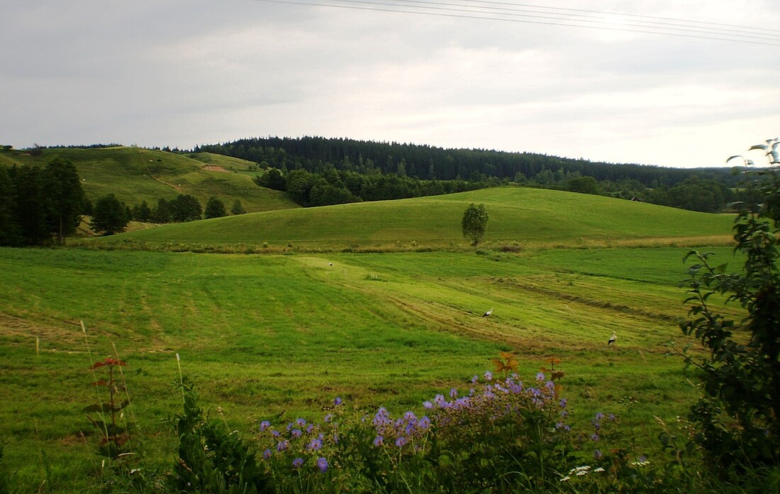 Kadariškės (Lenkija)