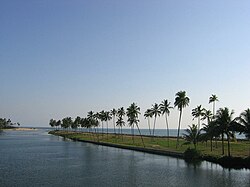 Kappil Strand und Backwaters in Edava