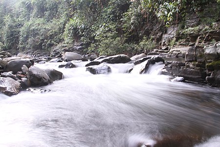 Khu dự trữ thiên nhiên Động Châu – Khe Nước Trong