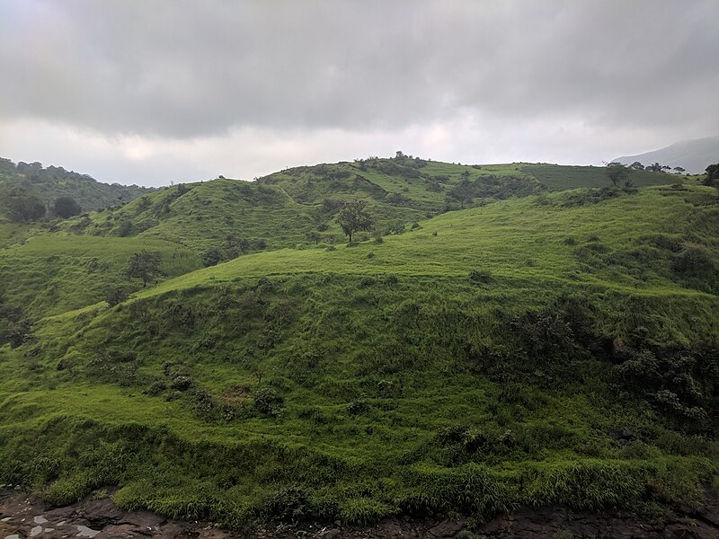 File:Konkan 20180919 161909.jpg