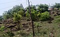 Kundrathur Murugan Temple1.jpg