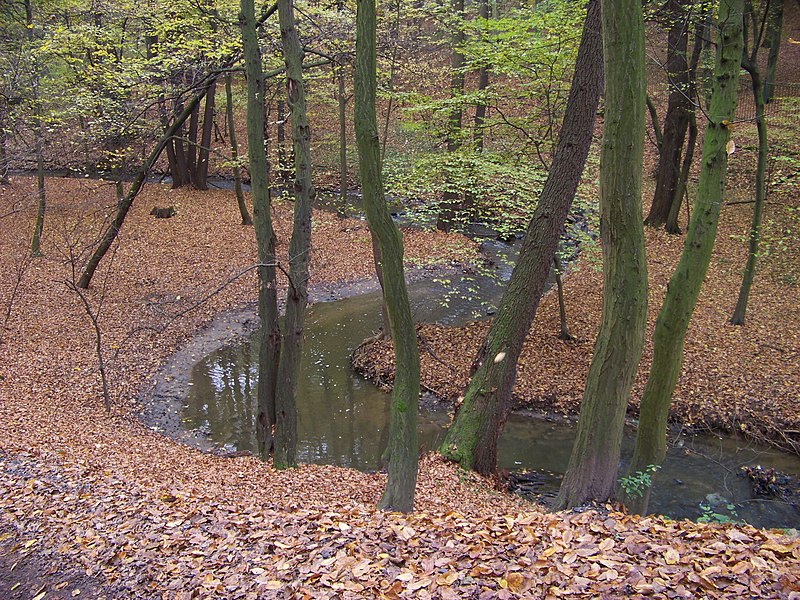File:Kunratický les, Kunratický potok.jpg