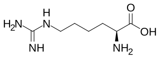 <span class="mw-page-title-main">Homoarginine</span> Chemical compound