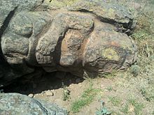 Possible representacion de una diosa asociada a la fertilidad como son: Cihuacoatl (nahuatl: cihuacoatl, 'mujer serpiente''cihuatl, mujer; coatl, serpiente'), Chicomecoatl (nahuatl: chicomecoatl, 'siete serpiente''chicome, siete; coatl serpiente'), ilamantecutli y Cihuateteo (nahuatl: cihuateteo, 'mujeres diosas''cihuatl, mujer; teteo, dioses') La malinche.jpg