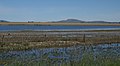 * Nomination View of Laguna del Cisne, Partido of Tandil, Argentina --CustodiosdeLagunadelCisme 23:07, 11 October 2017 (UTC) * Decline Lacks sharpness IMO --Ermell 06:53, 12 October 2017 (UTC)